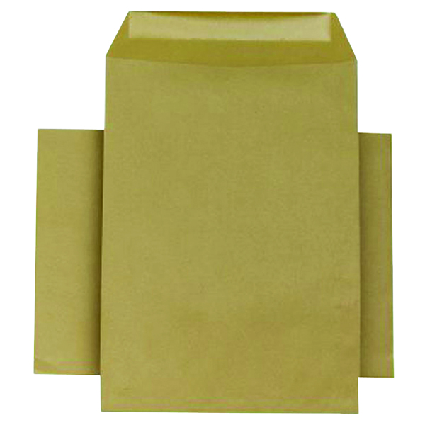 Medium Manilla Envelope